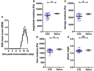 MR Elastography-Based Assessment of Matrix Remodeling at Lesion Sites Associated With Clinical Severity in a Model of Multiple Sclerosis
